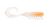 Rapala Crush City The Creeper 2.5 inch Soft Plastic Lure