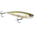 Rapala Xtreme Pencil Surface Walker Lure Saltwater 107mm