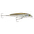Rapala Saltwater X Rap 8 Hard Body Lure SXR08
