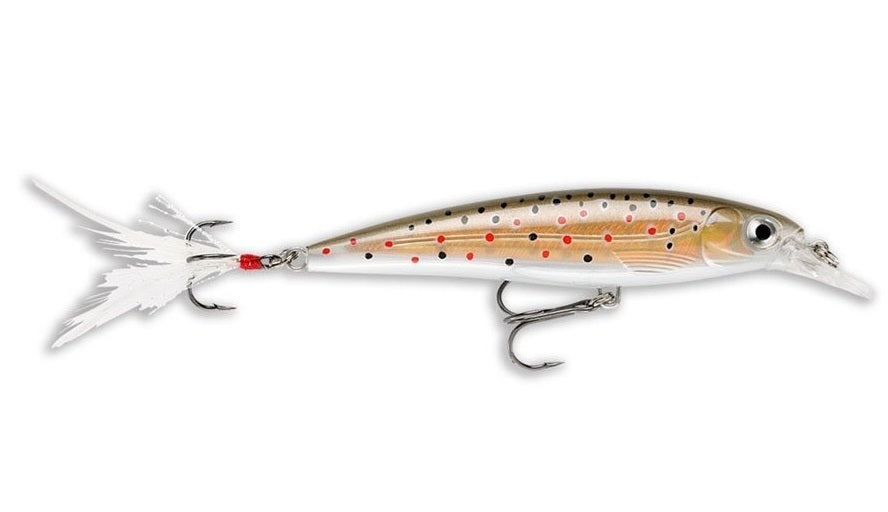 Rapala X Rap 4 Hard Body Lure XR04