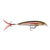 Rapala X Rap 6 Hard Body Lure XR06