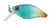 River 2 Sea Baby Crank D40F Hard Body Lure