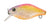 River 2 Sea Baby Crank D40F Hard Body Lure