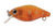 River 2 Sea Baby Crank D40F Hard Body Lure