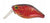 River 2 Sea Baby Crank D40F Hard Body Lure