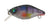 River 2 Sea Baby Crank D40F Hard Body Lure