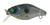 River 2 Sea Baby Crank D40F Hard Body Lure