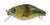 River 2 Sea Baby Crank D40F Hard Body Lure