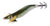 Shimano New Sephia Clinch Fall Rattle Squid Jig Lure