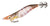Shimano New Sephia Flash Boost Squid Jig Lure