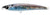 Shimano OCEA Pencil 115mm XS Stickbait Fishing Lure