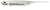 Fish Arrow Fash J SW Soft Plastic Lure