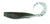 Squidgies Bio Tough Wriggler Soft Plastic Lure