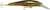 Storm Thunder Barra Hard Body Lure 11cm
