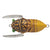 Tiemco Soft Shell Cicada 40mm Surface Fishing Lure