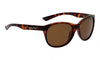 Ugly Fish TAC PT6477 Brown Frame Polarised Sunglasses