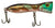 Venom V Pop Surface Popper Lure 100mm