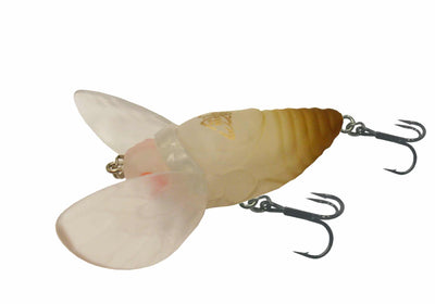 Warlock Moth Cicada Surface Walker Lure