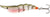Westin Salty The Shrimp 8cm 20g Hard Body Lure