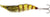 Westin Salty The Shrimp 8cm 20g Hard Body Lure