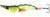 Westin Salty The Shrimp 8cm 20g Hard Body Lure