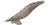 Yamashita Egi Sutte R 1.5 Squid Jig
