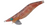 Yamashita Egi Sutte R 1.5 Squid Jig