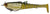 Zerek Flat Shad X Weedless Soft Plastic Swimbait Lure