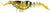 Zerek Live Cherabin 6 Inch Soft Plastic Lure