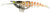 Zerek Live Cherabin 6 Inch Soft Plastic Lure