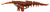 Zerek Live Cherabin 6 Inch Soft Plastic Lure