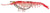 Zerek Live Cherabin 6 Inch Soft Plastic Lure