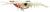 Zerek Live Cherabin 6 Inch Soft Plastic Lure