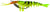 Zerek Live Cherabin 6 Inch Soft Plastic Lure