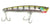 Zipbaits Skinny Pop Surface Walker Lure