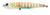 Zipbaits Skinny Pop Surface Walker Lure