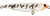 Atomic Hardz K9 Floating Surface Walker Lure Pup 47mm