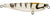 Atomic Hardz K9 Floating Surface Walker Lure Pup 47mm