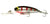 Lively Lures Mini Micro Mullet 40mm Hard Body Lure