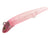Jackson Dart Magic Hard Body Lure