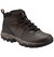 Columbia Newton Ridge Plus II Waterproof Mens Hiking Boot Cordovan Squash