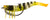 Zerek Live Shrimp 2 Inch Soft Plastic Lure