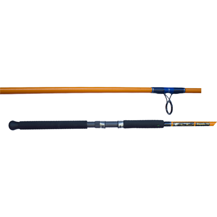 Gary Howard Breambo 10ft 6in 4W Surf Rod