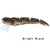 Mimix Dragonsaurus 220mm Surface Wakebait Lure