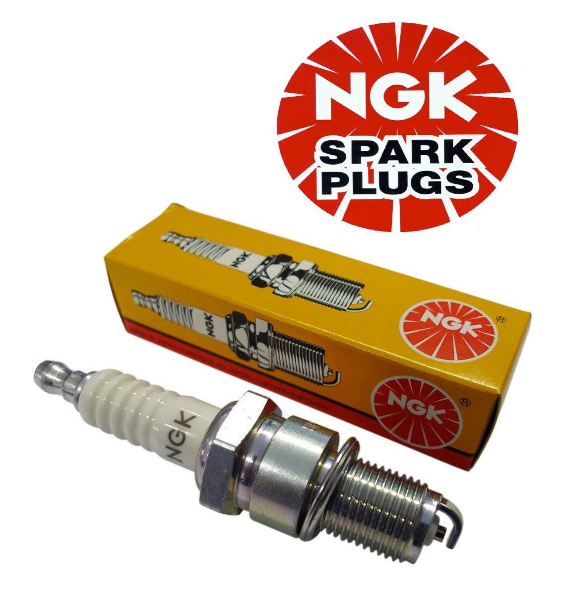 NGK Spark Plugs