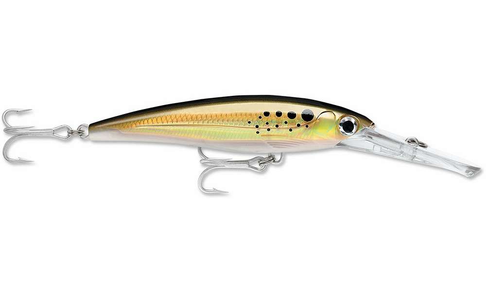 Rapala X-Rap XRMAG20 140mm 46g Hard Body Lure