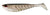 Berkley Powerbait Giant 23cm Swimbait Fishing Lure