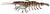 Chasebaits Flick Prawn 95mm Soft Plastic Lure