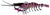Chasebaits Flick Prawn 95mm Soft Plastic Lure