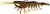 Chasebaits Flick Prawn 125mm Soft Plastic Lure